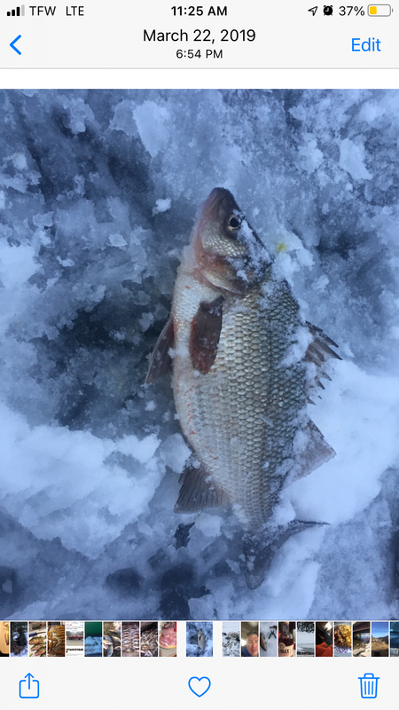 27B888AA-EFD6-43E0-BA8C-70DB92AC2883