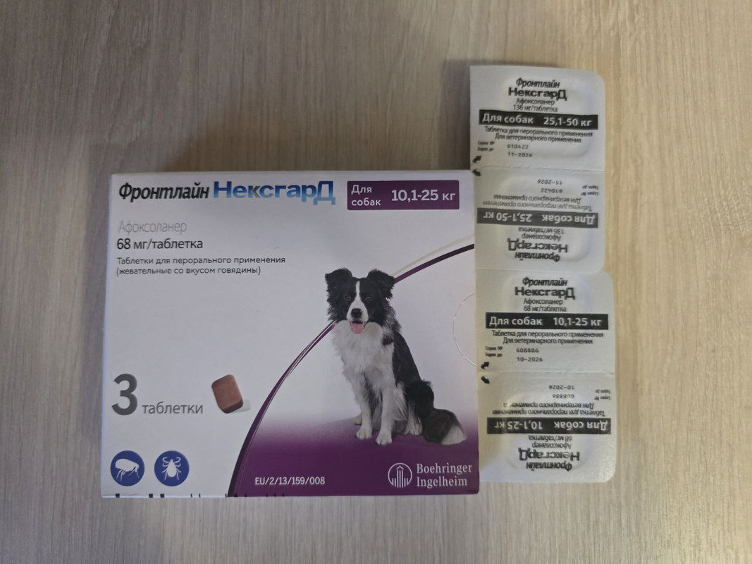 photo_2025-03-19_09-00-21 (2)