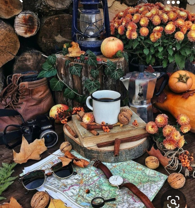 Screenshot_20230928_224839_Pinterest