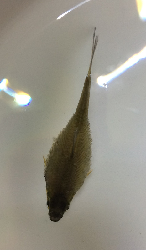 328222B7-6F60-447E-90AD-1B390CDBAAC9