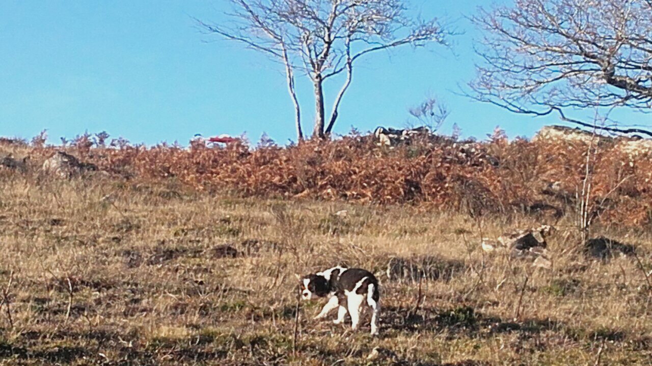 FAE1FCEF-344E-4ECF-B48C-99006F22495C