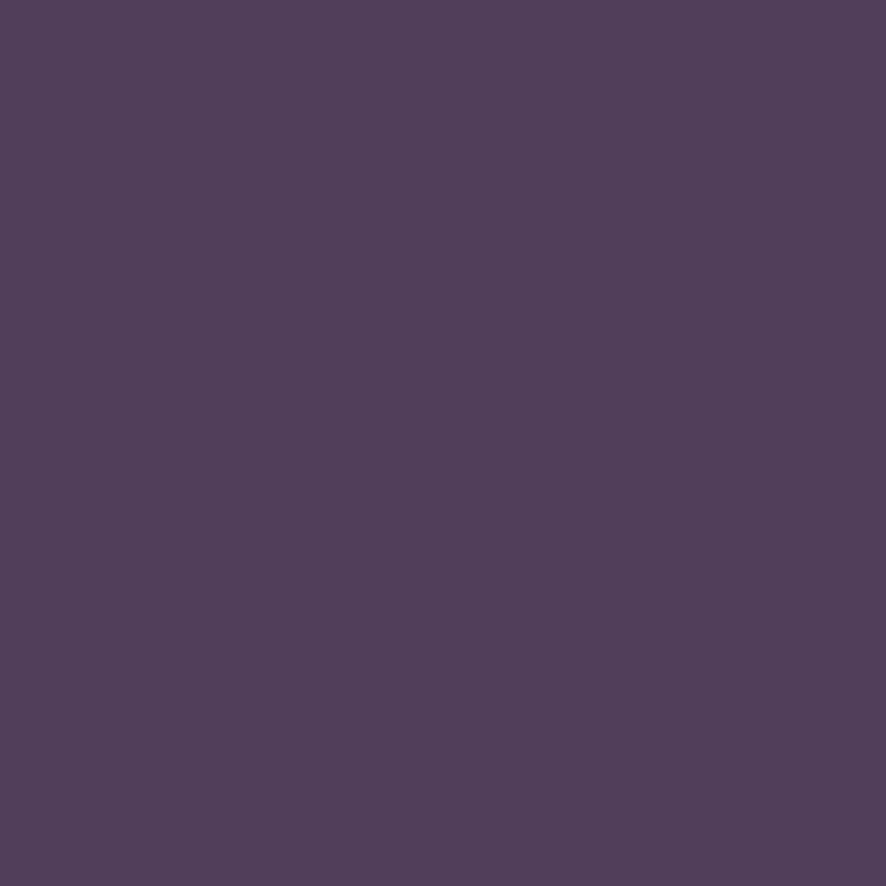 TY FGCX 透明 Purple 紫色