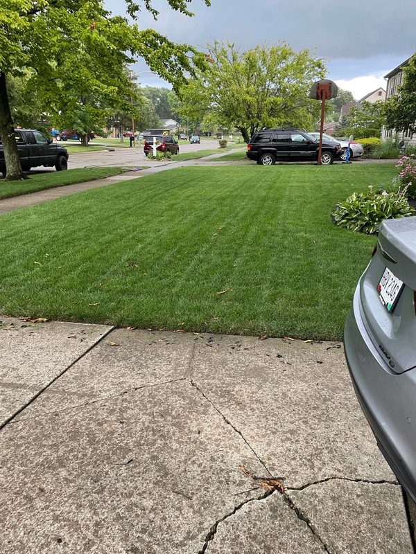 278625922_559319602284255_8356371351040066227_n