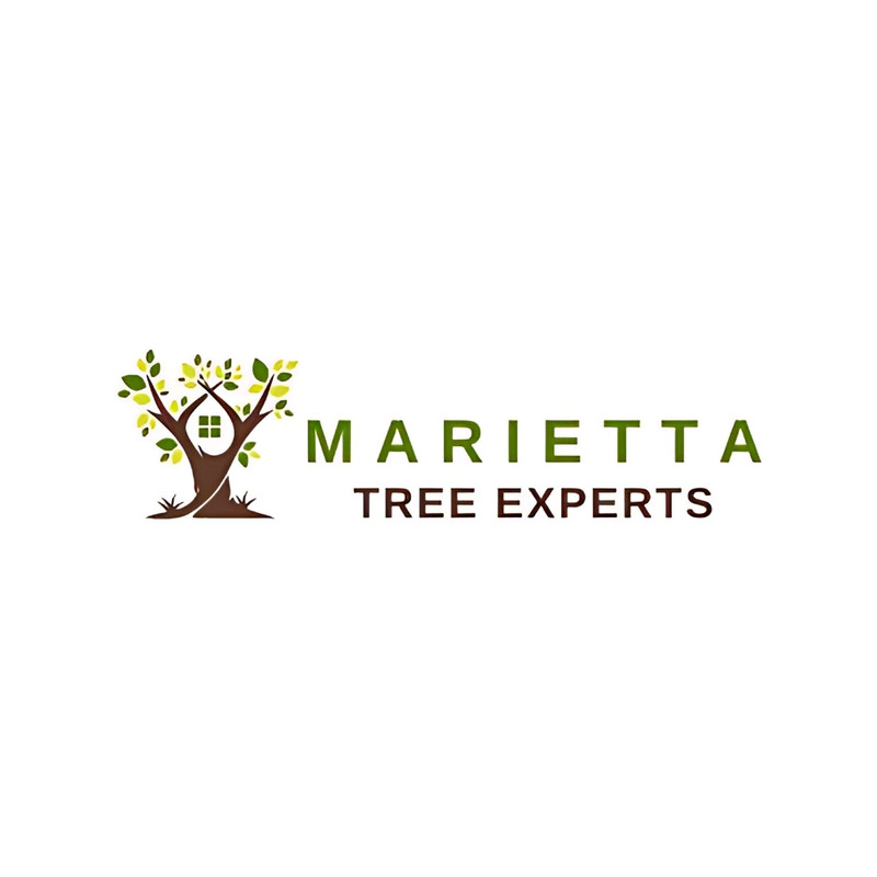 location logo