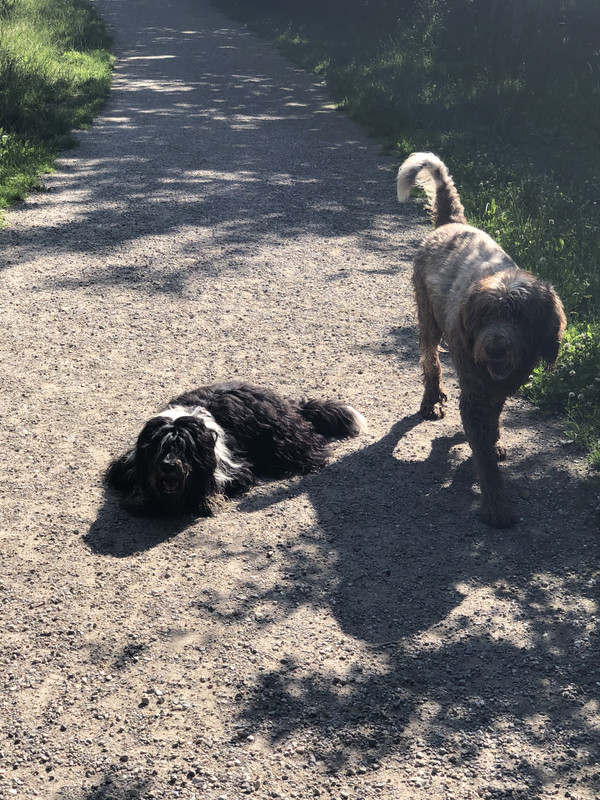 EAE8F55E-CE0F-4A91-A2F3-FFD929F02ABC