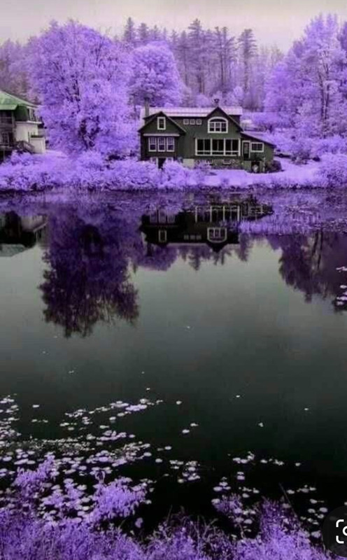 Screenshot_20240202_203102_Pinterest