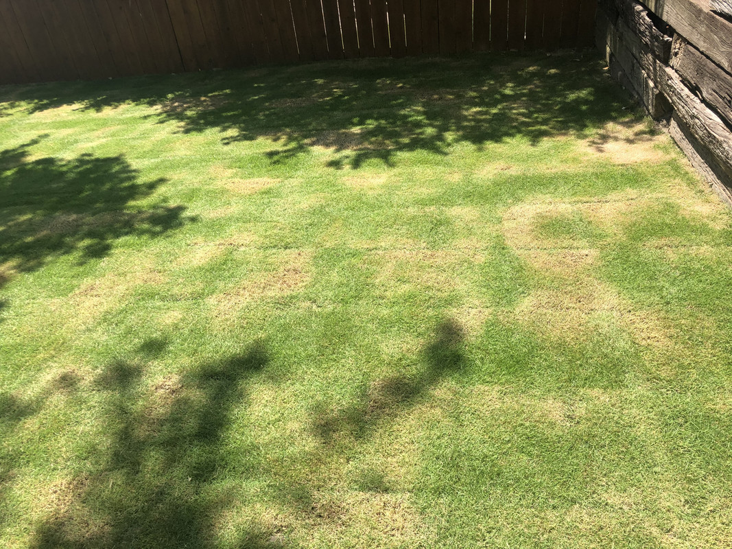 0E744935-0EE9-414F-937F-D8C324BD644A