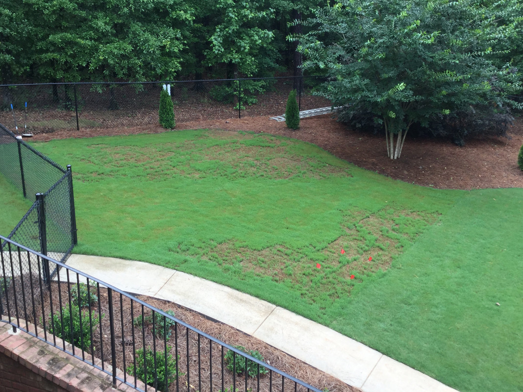 1AA2BA55-A6D2-467C-91A2-684A482BF003