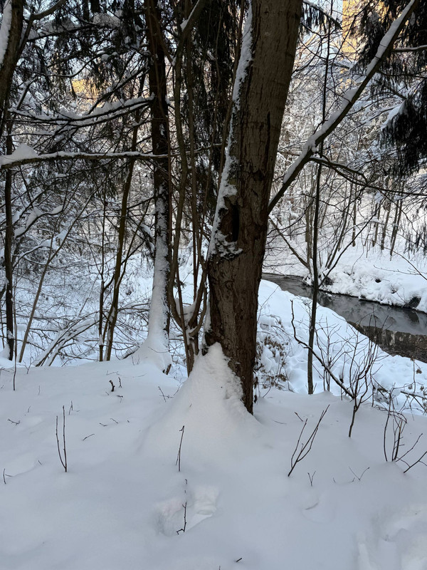 photo 2026 01 16 19 49 31