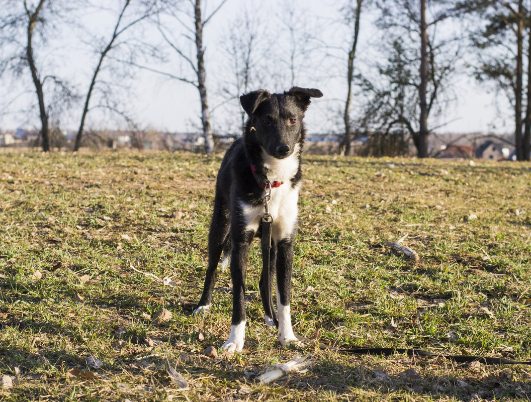 Дакота_06_18_7