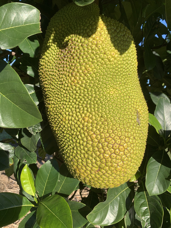 9BD7C7CC-F2D1-4B95-9D45-334BA5782E09