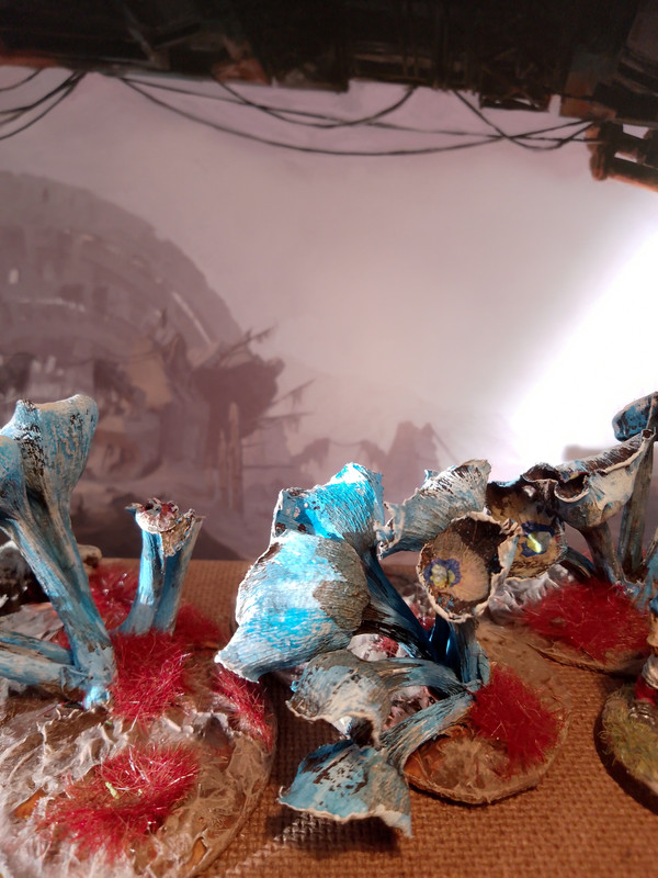 IMG 20251213 111749 PORTRAIT