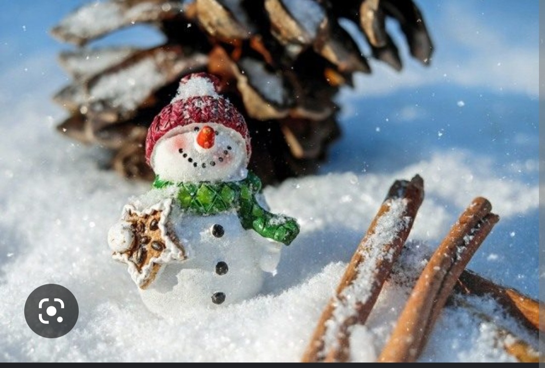 Screenshot_20221125-191759_Chrome