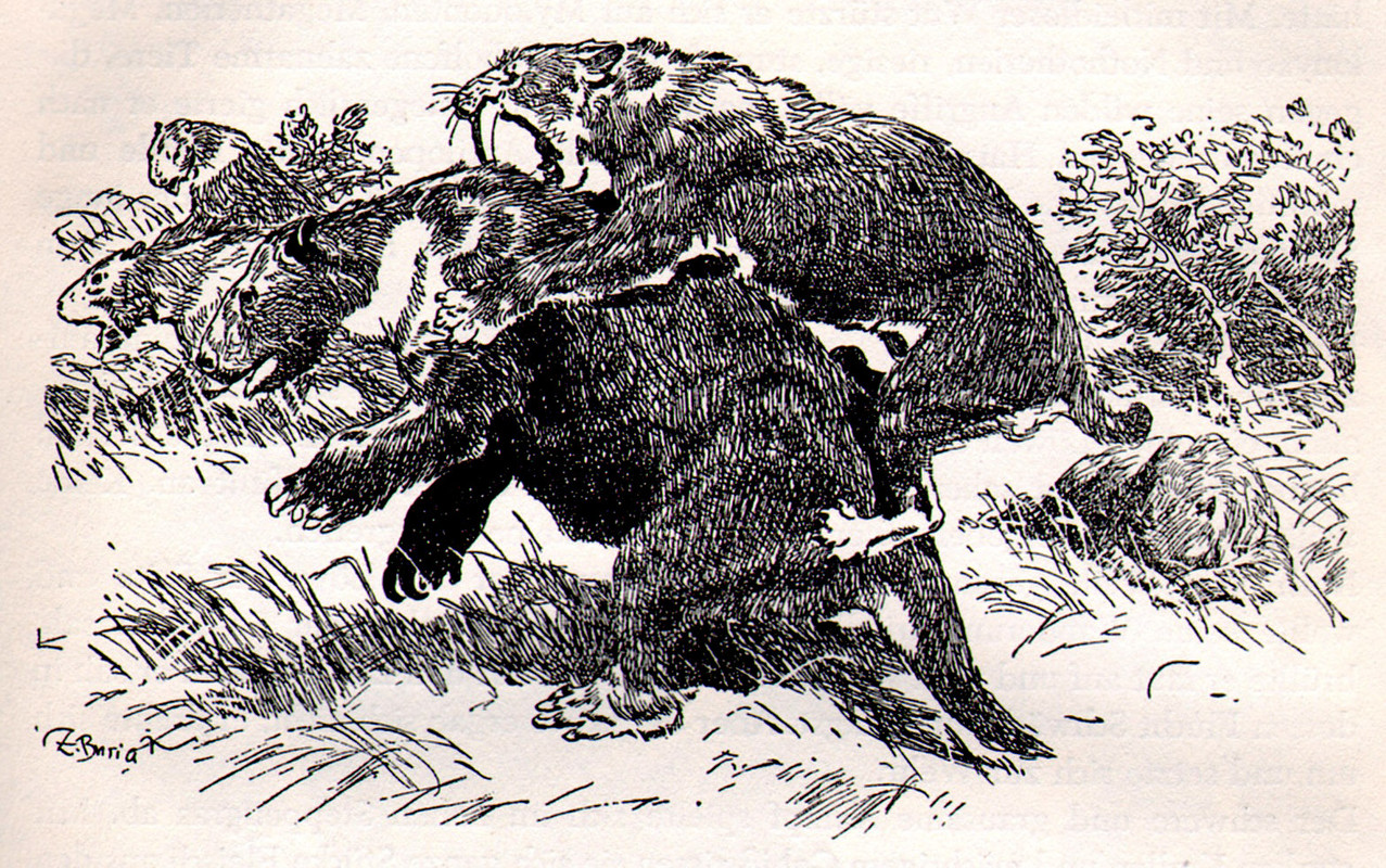 sabre_attack_by_zdenek_burian