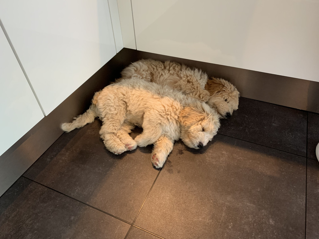 A7358F99-F92F-4A31-9022-5150379717F8