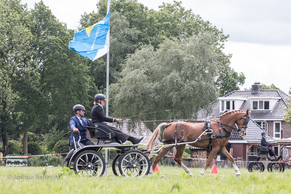 MG-9764vaardigheid-dressuur-nienoord-2022