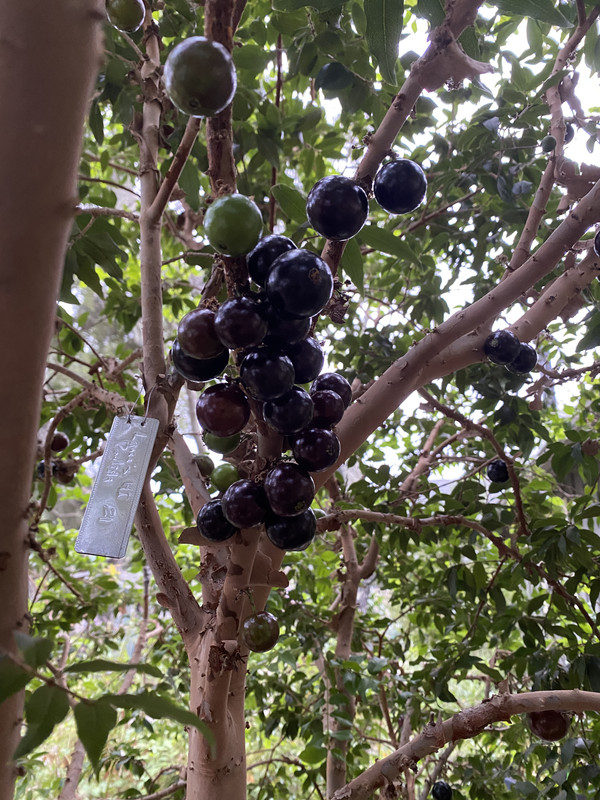 D05903BC-EEE2-4184-A27C-A1B811AE6396