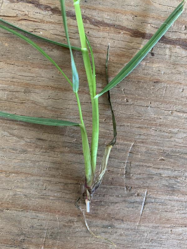 543A0865-D8DF-4B24-8C62-8BE5123C33FB