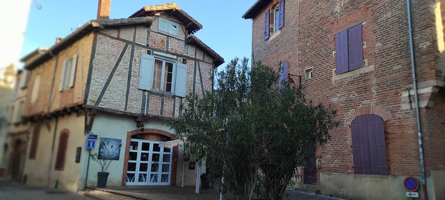 Visite Albi ( de brique et de broc )  1704794247883