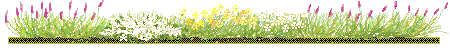 lawn