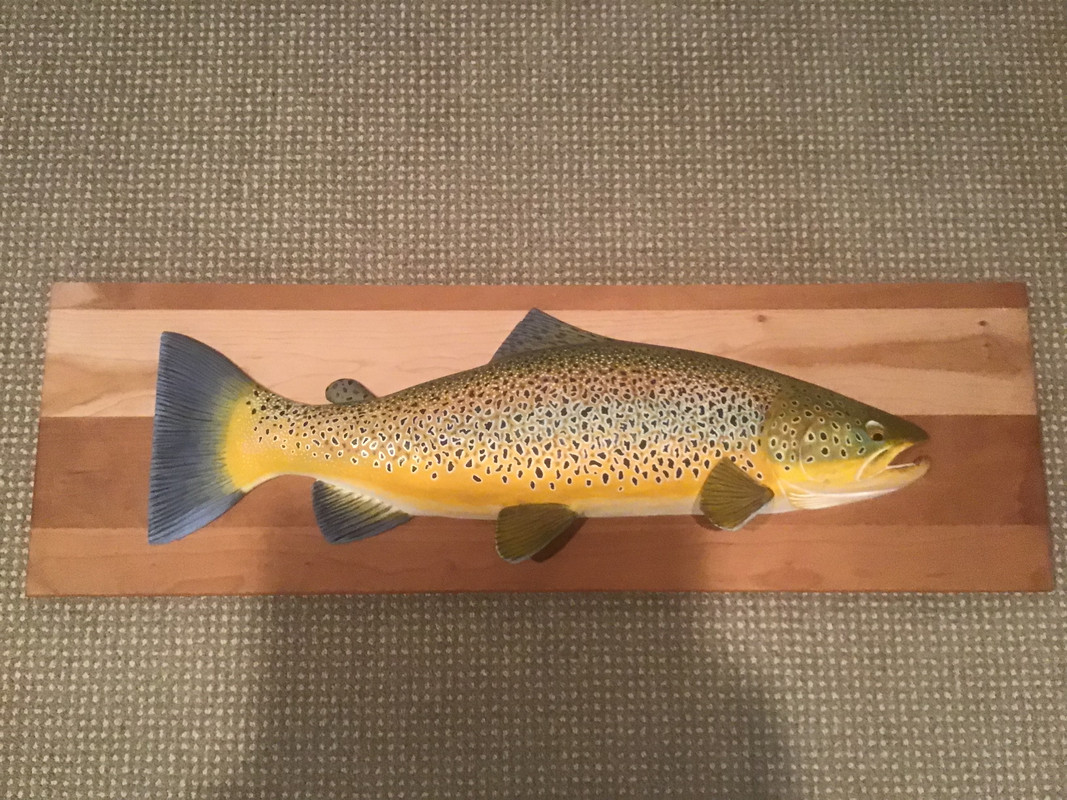 D581C19B-079E-4F18-98F6-DA9A42E49688