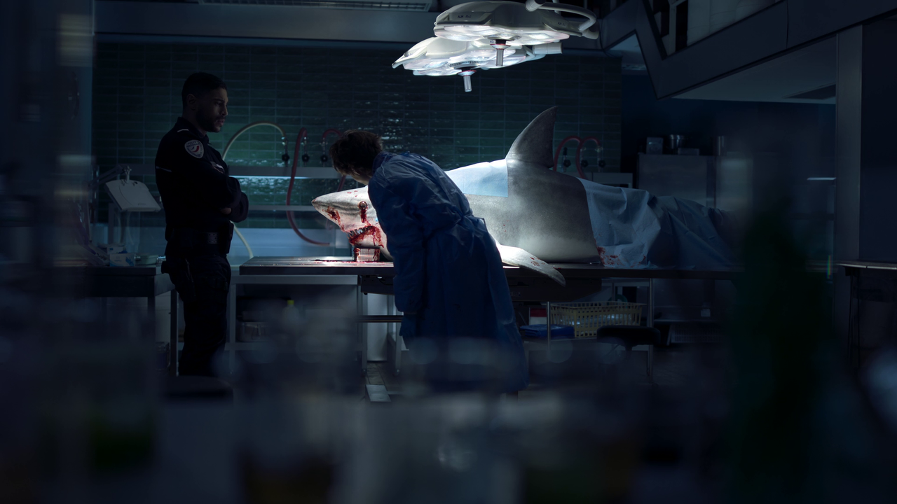 vlcsnap-2024-06-05-02h32m55s414