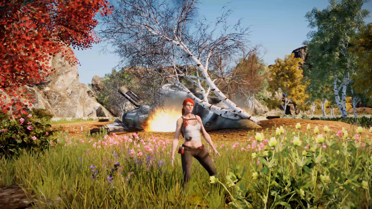 Animallica_2018-06-26_15-27-03