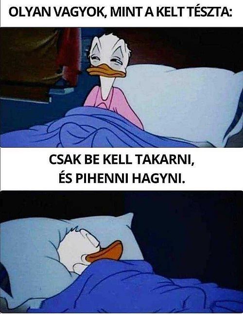 https://i.postimg.cc/FsYkr294/olyan-vagyok-mint.jpg