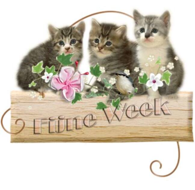 An den Beitrag angehängtes Bild: https://i.postimg.cc/FsZ06tHW/oie-257217-UAVre-Y4l.jpg