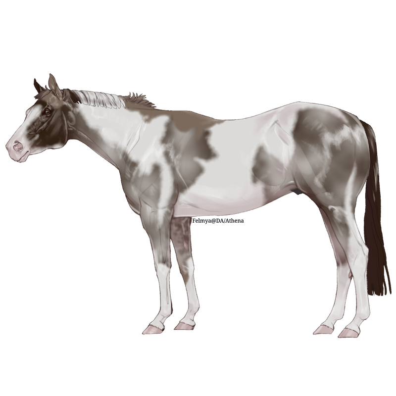 Untitled88-20250423141344.png