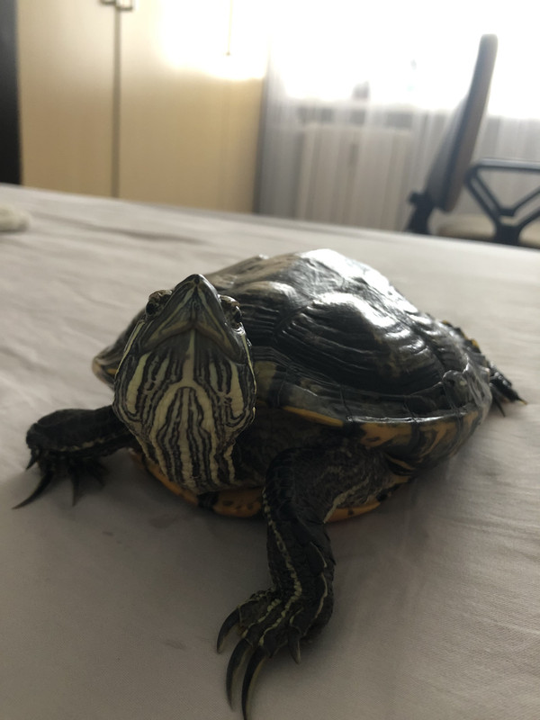 32FF88BB-3803-4E86-914C-C3CDE79797AB