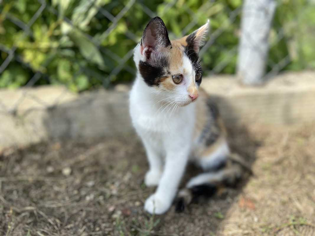 B8B0F7BE-7C82-46D7-8171-DC51458A4F6E