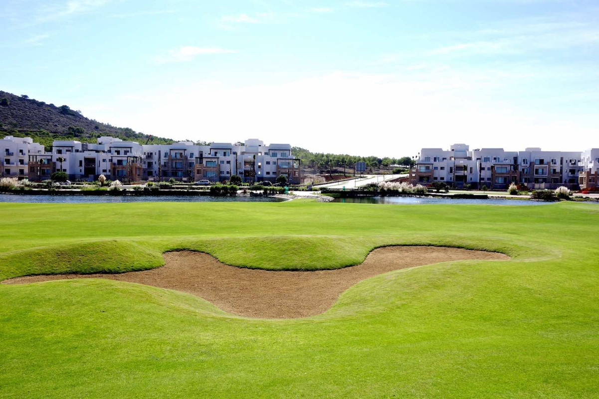 551507338-1311409324042419-7425680584356037121-n