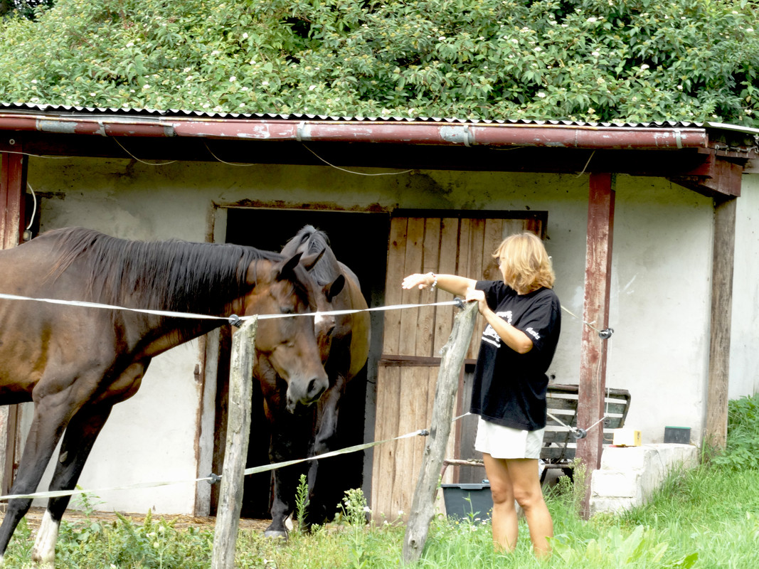 01.10 - DSC07336 (Czesio1)