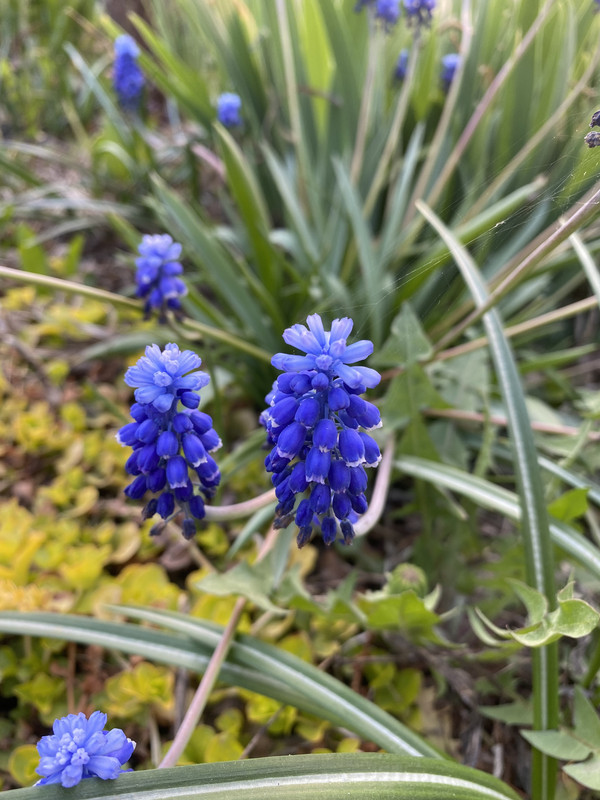 4C3F7619-570B-4C9D-B440-DD269F9899DF