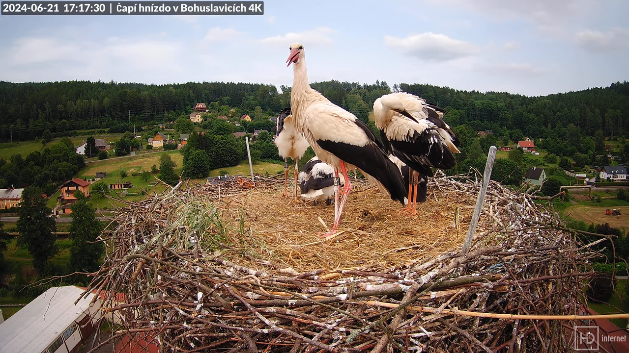 Tiešraidē no uzņēmuma KARA stārķa skursteņa Bohuslavicē pie Trutnovas 13-29-30 screenshot