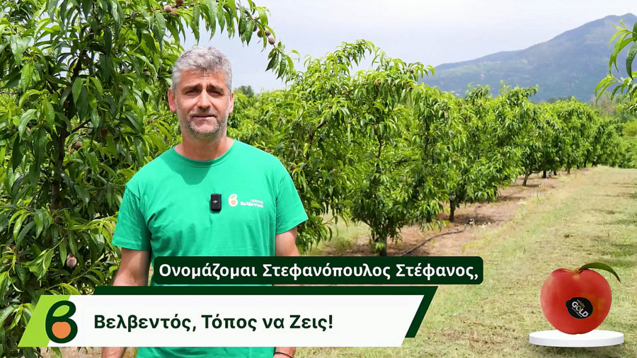 κοζάνη, ειδήσεις, νέα, Πτολεμαΐδα 