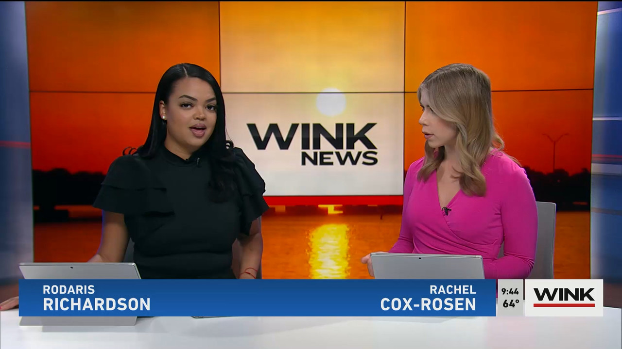 02.18 - 14.00.00 - WINK News at 9 00AM  ᴺᵉʷ. Morning news.ts_snapshot_00.51.07.789
