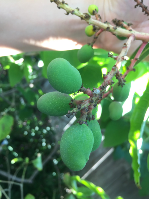 208AD193-DCDC-47F8-9C72-F7D657F4D70E