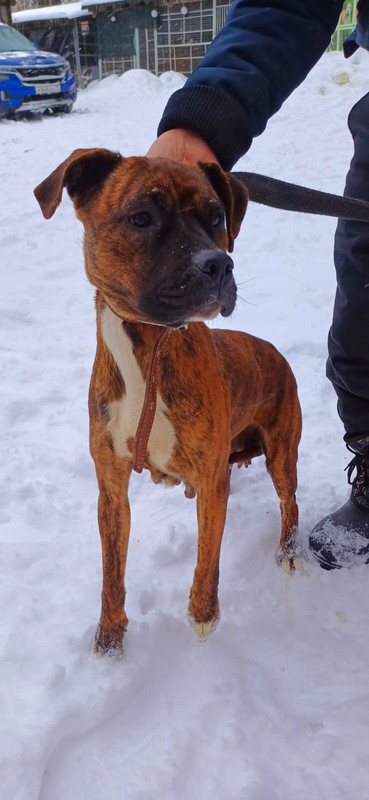 WhatsApp Image 2024-01-11 at 14.51.45 (1)