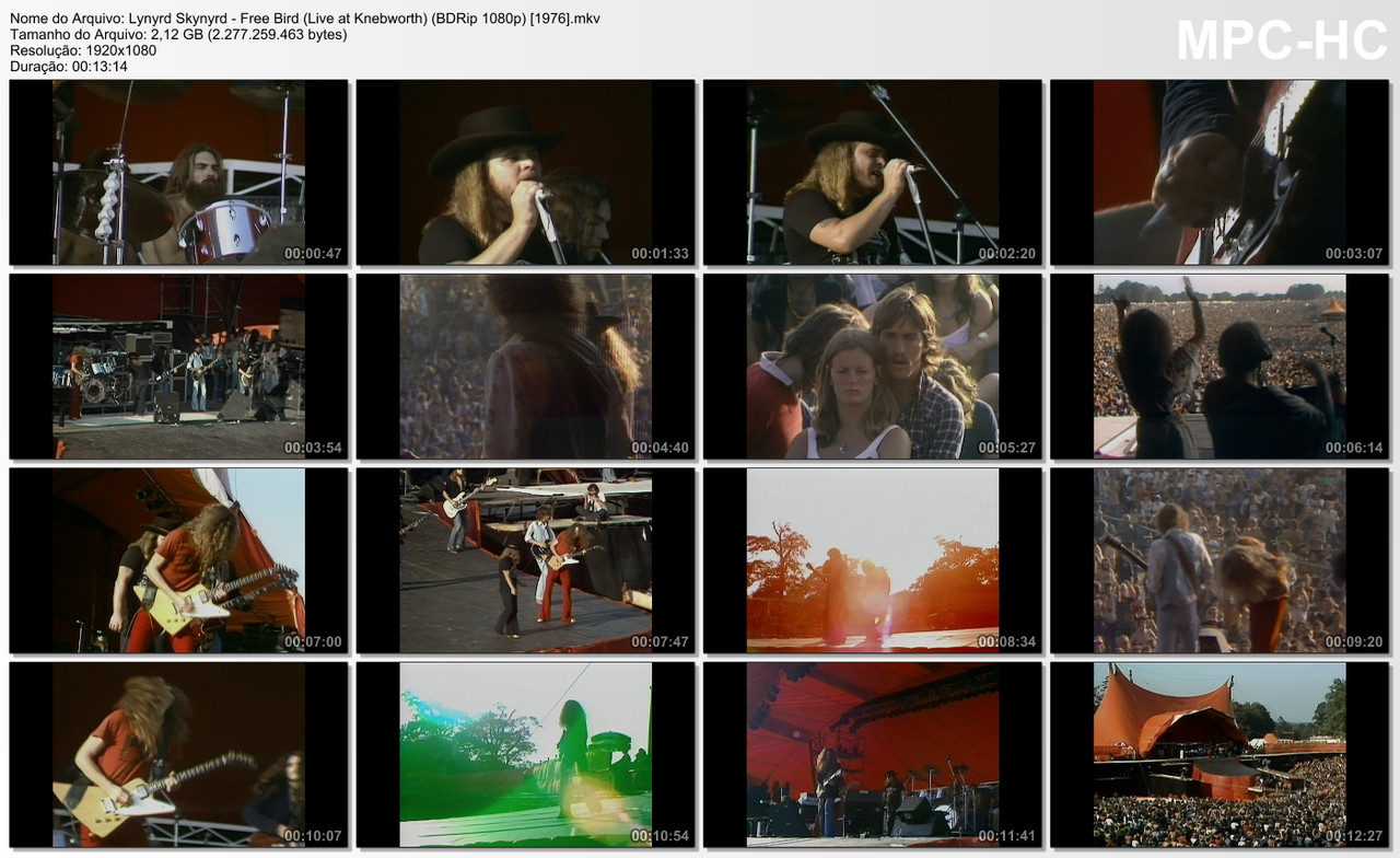 Lynyrd Skynyrd - Free Bird (Live at Knebworth) (BDRip 1080p) [1976]