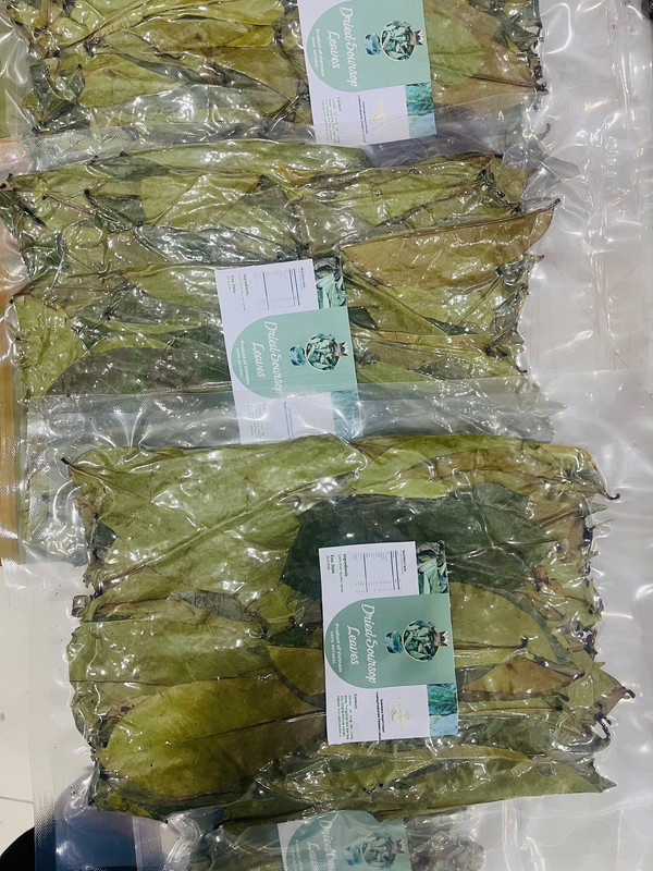 Dried Soursop Leaf