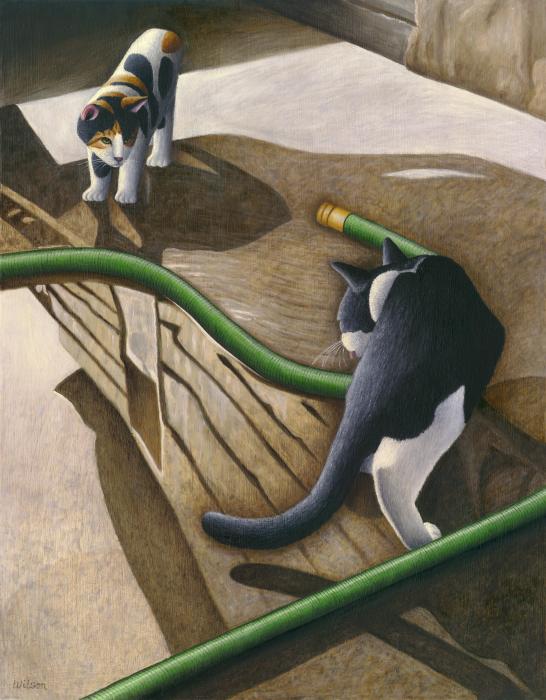 27-cats-and-garden-hose-carol-wilson