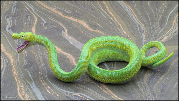 2022 Wildlife Figure of the Year, time for your choices! - Maximum of 5 Collect-A-88962-Green-Tree-Python-4-copie