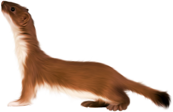 TADD_elements_ShimmerFall (68)