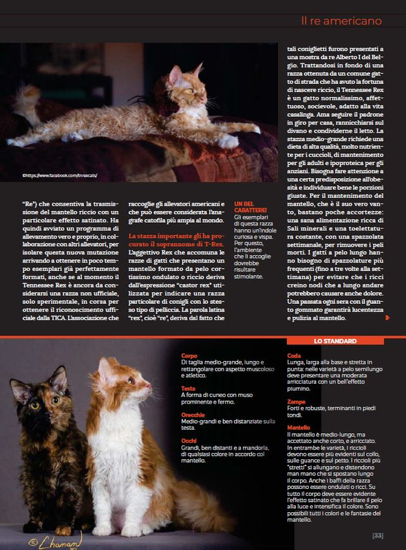 Ga Ma Apr-Mag 2023 (6)