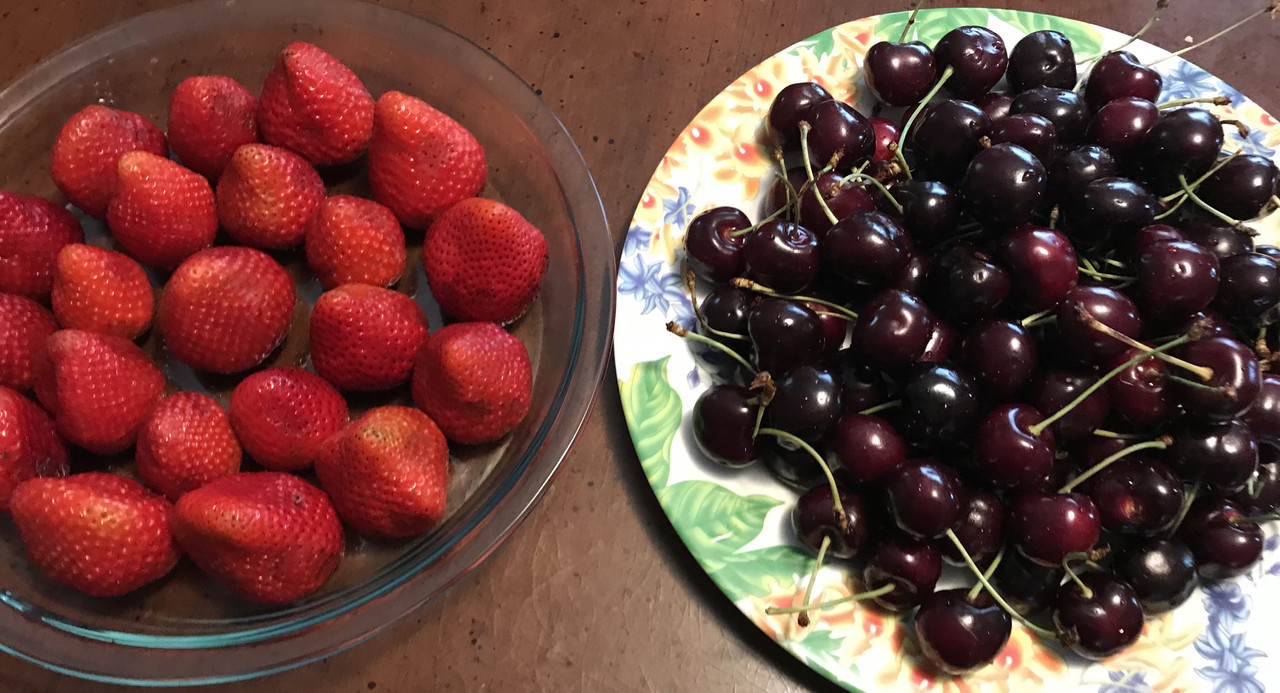 CDAA4981-773C-42EA-AA3E-216BD39D13EF