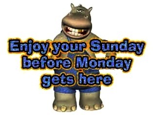 Funny-Hippo-Sunday