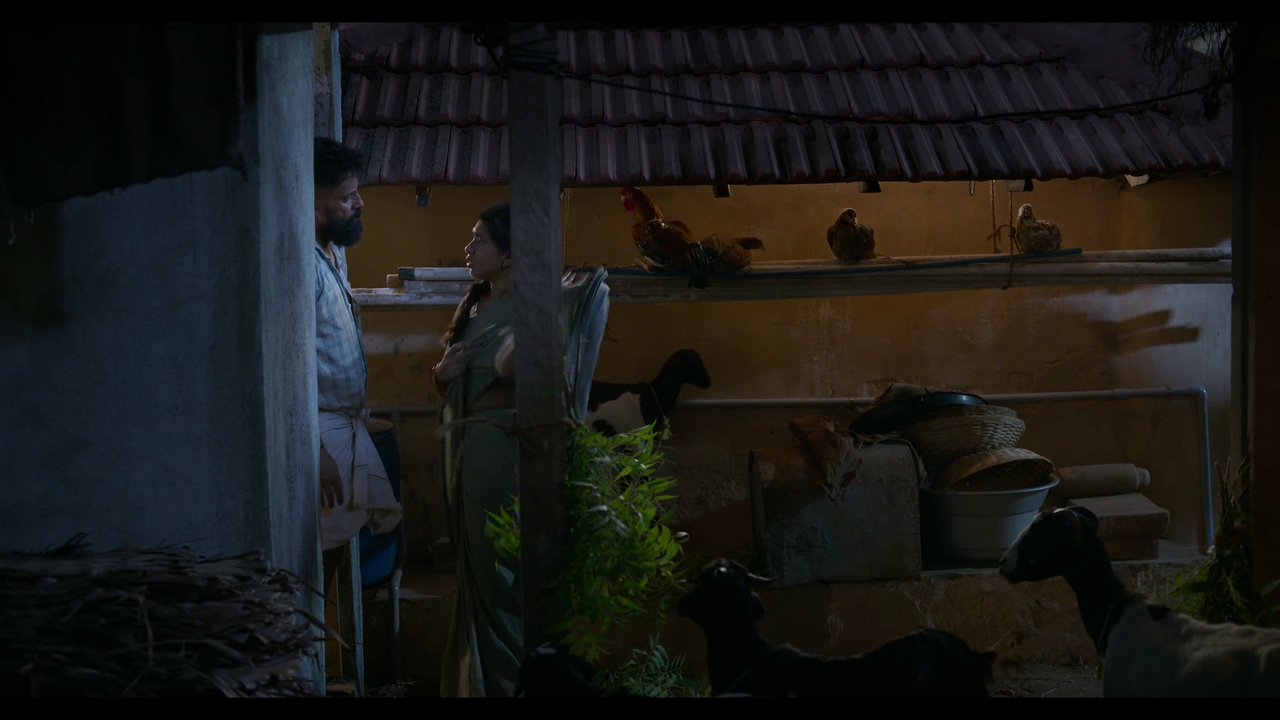 vlcsnap-2025-04-24-21h06m42s054