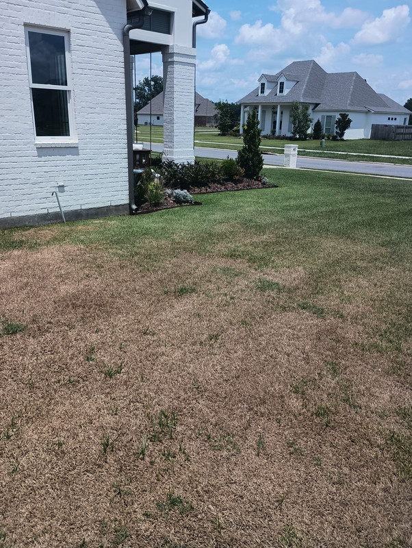 IMG_20240712_135504843